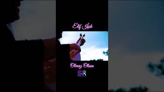 Elif İşık -Olmaz Olsun  Resimi