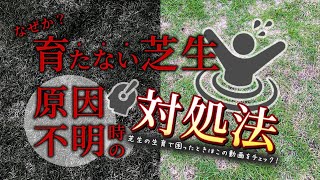 【芝生アドバイス】1つ1つ見直し改善する！視聴者さんのお庭大改造！