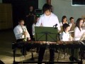 Xylo Classics - Fanfare St. Christoffel Opgrimbie (Solist Maarten Warson)