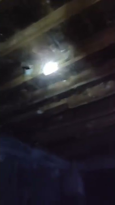 hasil Rbw 3 bulan pengunaan Si liur 77 Andy sufar