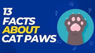 😻 13 Interesting Cat Paw Facts You May Not Have Known 💯🙀 by FurrPawz 83 views 1 year ago 12 minutes, 12 seconds