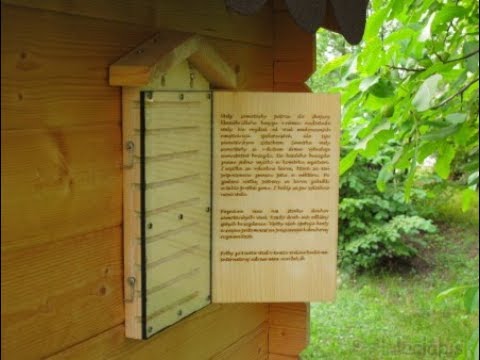 DIY mason bees observation insect house