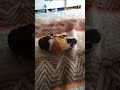 ИСТОРИЯ ДЛЯ МАЛОЛЕТОК💀🤨
