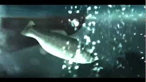 Garrett Magee Reel 09