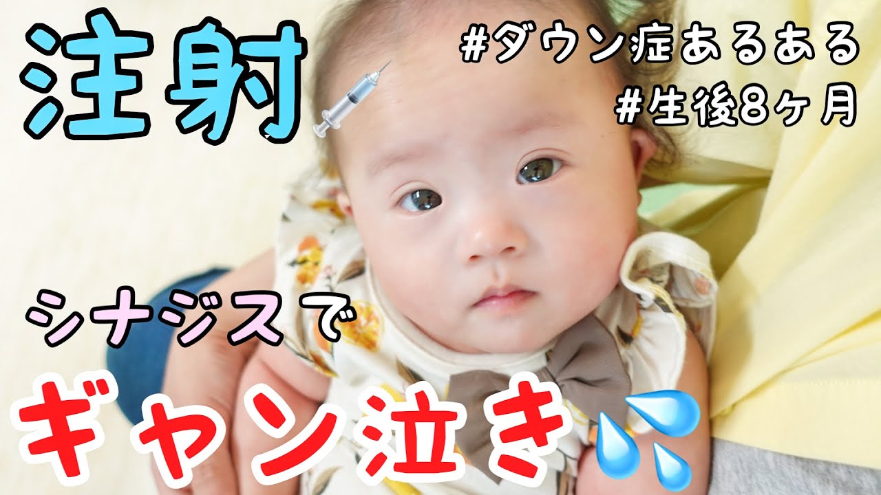 ダウン症育児 あんちゃんの甘えんぼタイム発動した 7ヶ月 Youtube