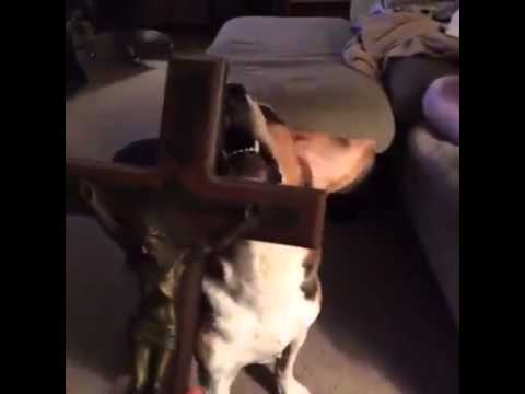 The Power Of Christ Compels You Lol Vines Youtube