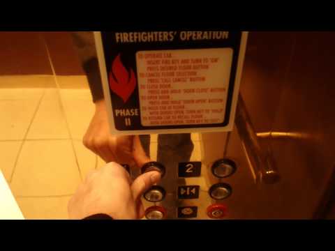 PUMP UP THE JAM (Auto Tunes w/ Flula & Sorted Food) from YouTube · Duration: 4 minutes 8 seconds PUMP UP THE JAM (Auto Tunes w/ Flula & Sorted Food) from YouTube · Duration: 4 minutes 8 seconds