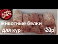 ПОЧЕМУ  КРИЧАТ КУРЫ ????