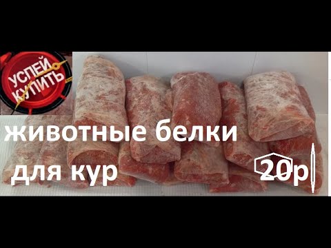 Почему каратисты кричат кия