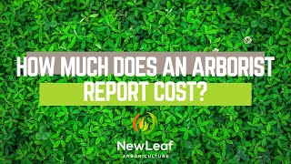 FAQ How much does an arborist report cost?