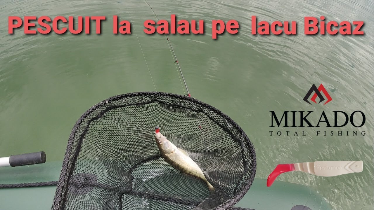 Pescuit la salau pe lacul Bicaz cu Shad Mikado Fishunter 7cm