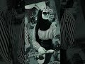 سيندريلا الاحلام