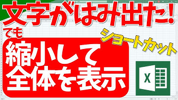 【エクセル】縮小して全体を表示をキーボードで！（超わかりやすいエクセルEXCEL講座）