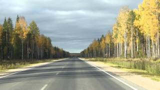 Трасса Каргополь - Плесецк Трасса Каргополь - Плесецк
