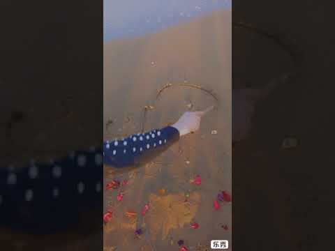 عيني انت وروحي انت ودمي دمك راح اسجل روحي باسمك الأمر تخطى كونه ح ب أنت جزء مني