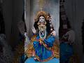 Gyan ki jyoti jagadena binabadini / Saraswati Puja2025 #saraswatipuja #binapani #saraswati #shorts