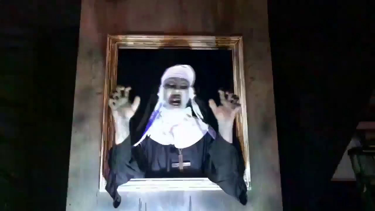Drop Panel Nun Portrait