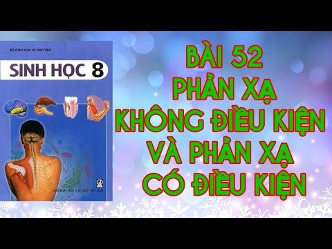 Video BÀI 52 PHẢN XẠ KHÔNG ĐIỀU KIỆN VÀ PHẢN XẠ CÓ ĐIỀU KIỆN... - youtube
