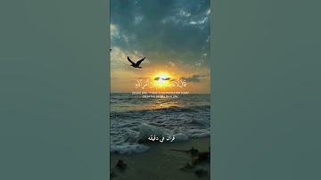 قران كريم ارح قلبك وسمعك #قران_في_دقيقة #ناصر_القطامي #قرآن #quran @قران_في_دقيقة