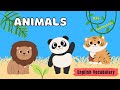 Wild Animals – Vocabulary Flash Cards (English lessons for kids) part 1