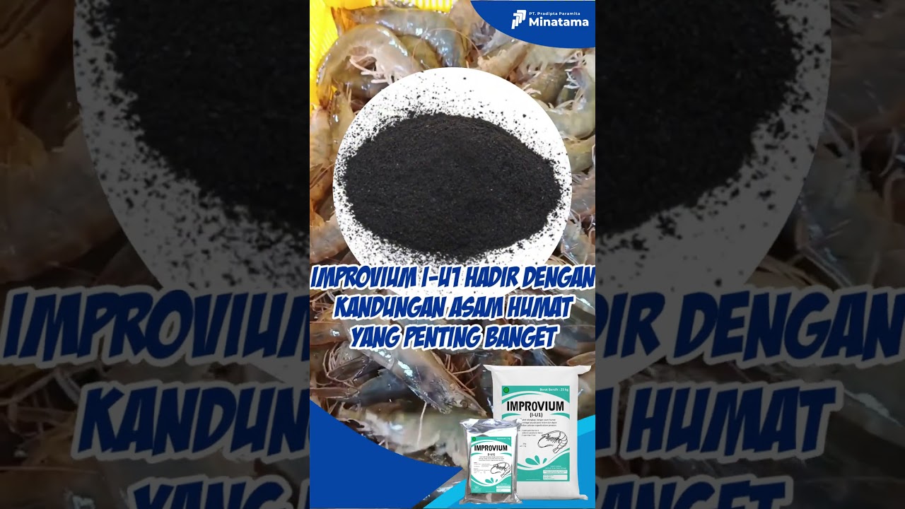 Mineral untuk Memenuhi Kebutuhan Budi Daya Udang Improvium 1
