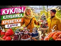 ВИЛКОВО. В ГОСТЯХ У КУКОЛЬНИЦЫ. ЛИПОВАНЕ ПО-ДРУГОМУ НЕ МОГУТ!