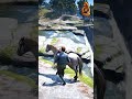 Survival Skill in Red Dead Redemption 2 P 47 #gameplay #gaming #shorts