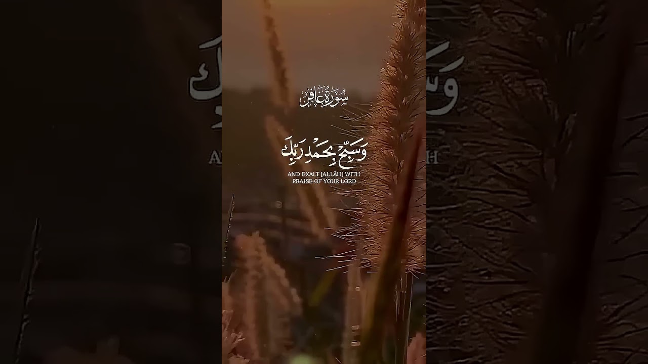 فاصبر إن وعد الله حق ||  تلاوة خاشعة للشيخ عبد الباسط عبد الصمد ✨