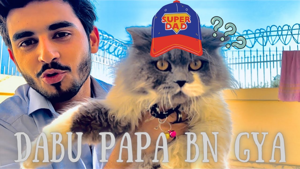 My Cat Gives Birth To Little Tiny Babies Dabbu Baap Ban Gya AJ my-cat-gives-birth-to-little-tiny-babies-dabbu-baap-ban-gya-aj