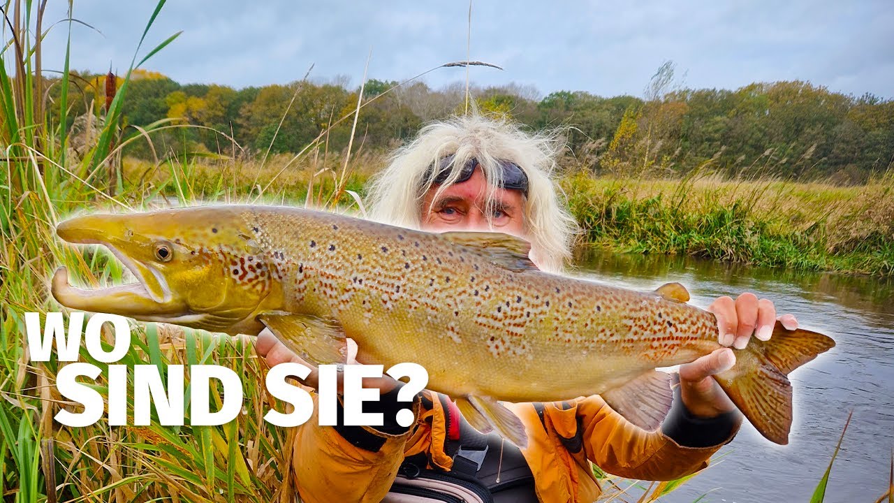 ANGELN auf LACHS NEBENAN - JÖRG & JANNE OVENS im URLAUB in DÄNEMARK - 'Fang mal was' (07)