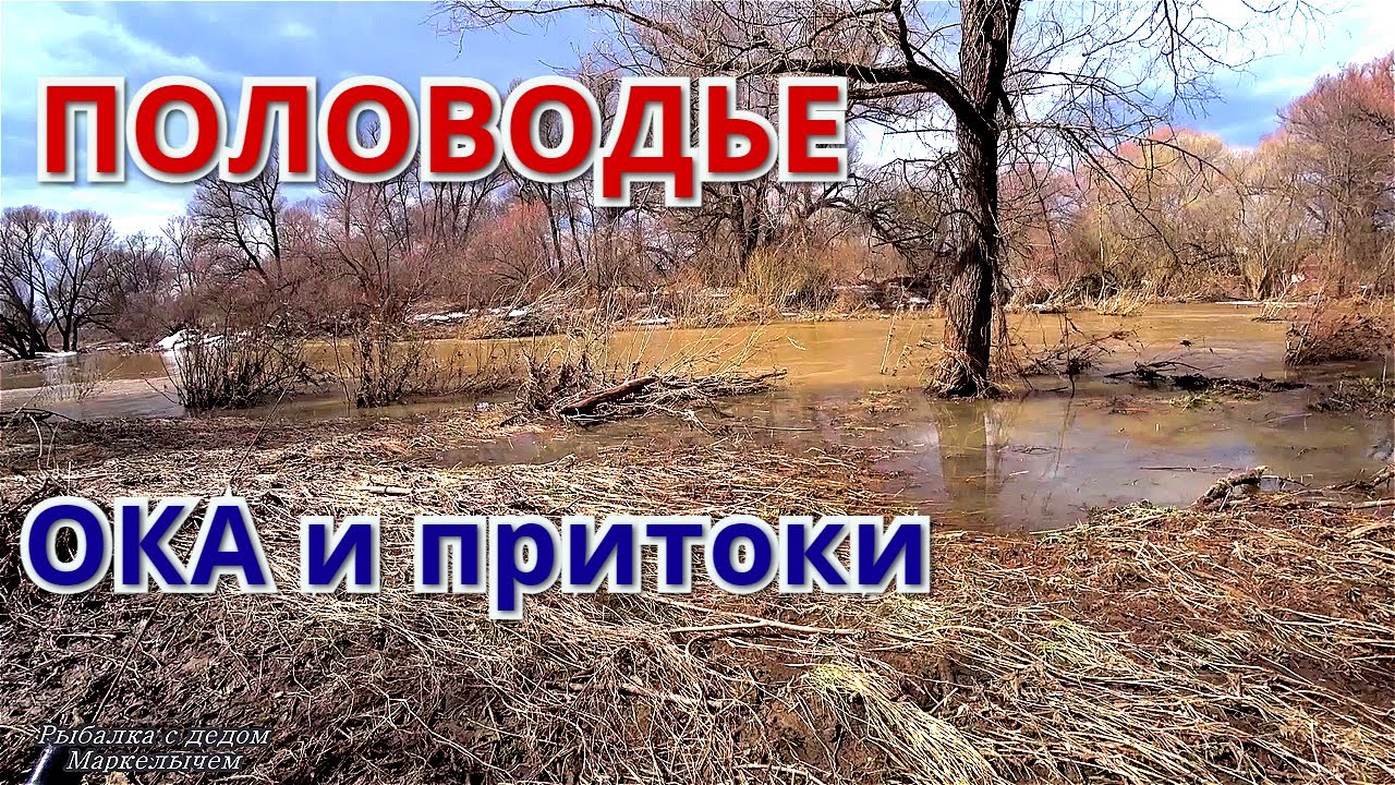 Пара приток оки