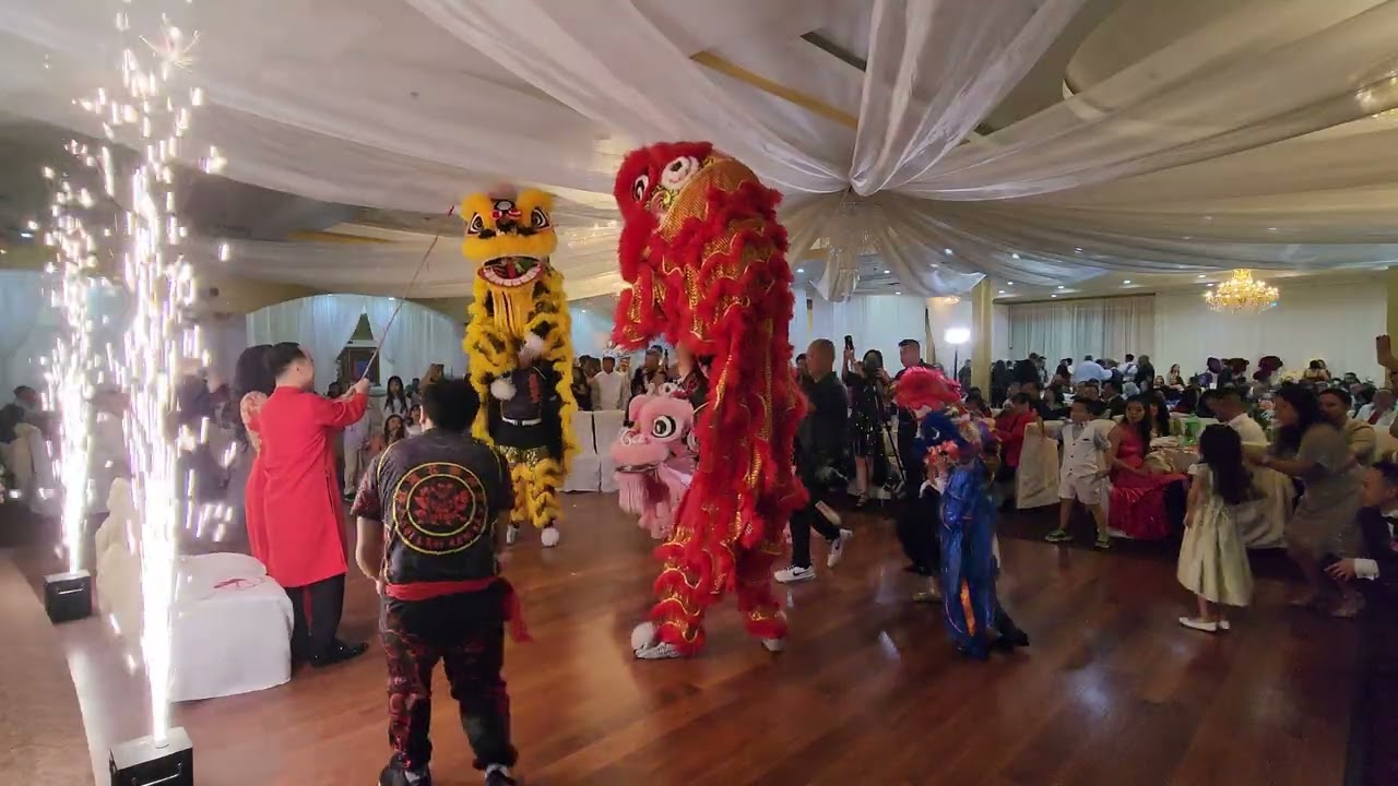 Red Lotus Lion Dance | Wedding Performance - Happy Garden