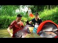 Harvesting Big Fish, Selling Them, and cooking a Traditional Family Meal. Homemade pumpkins caker. 