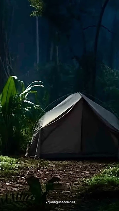 Amazon jungle #amazon #jungle #horrorstories #vikings