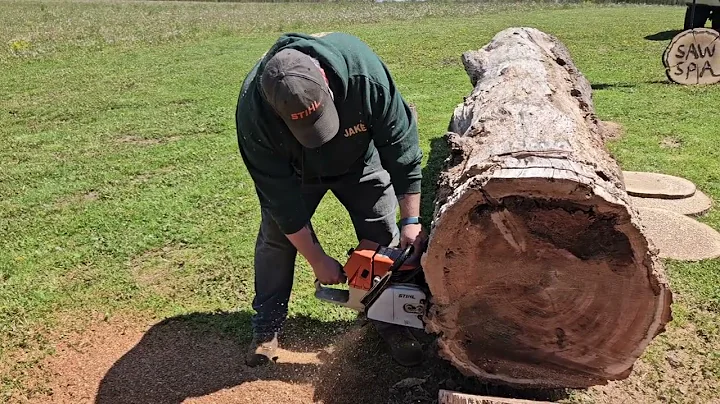 Stihl MS661 vs Ported 064 @TheSawSpa@Leave_Nothing_Stock