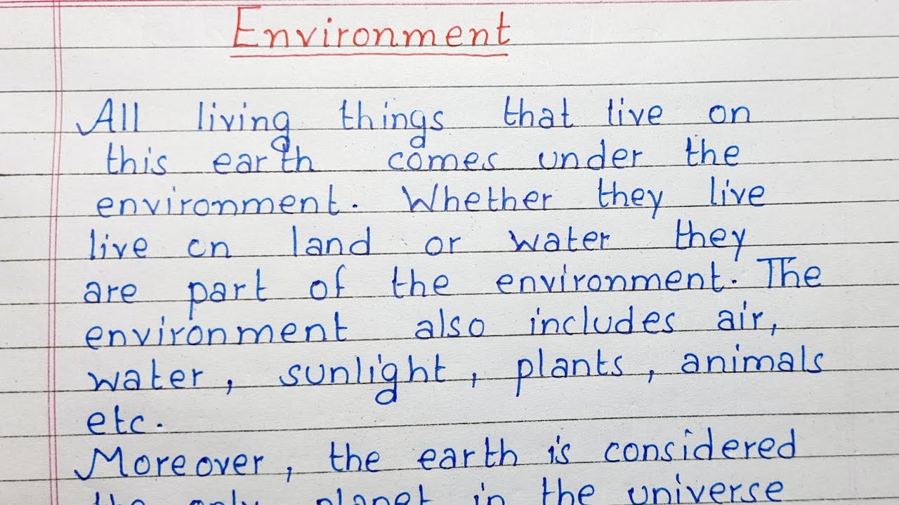 write a short essay on environment