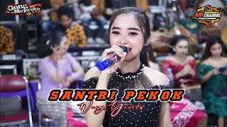 Santri Pekok - Wury Yunita - KMB Gedrug - NPS Audio - BILFA HD Multimedia