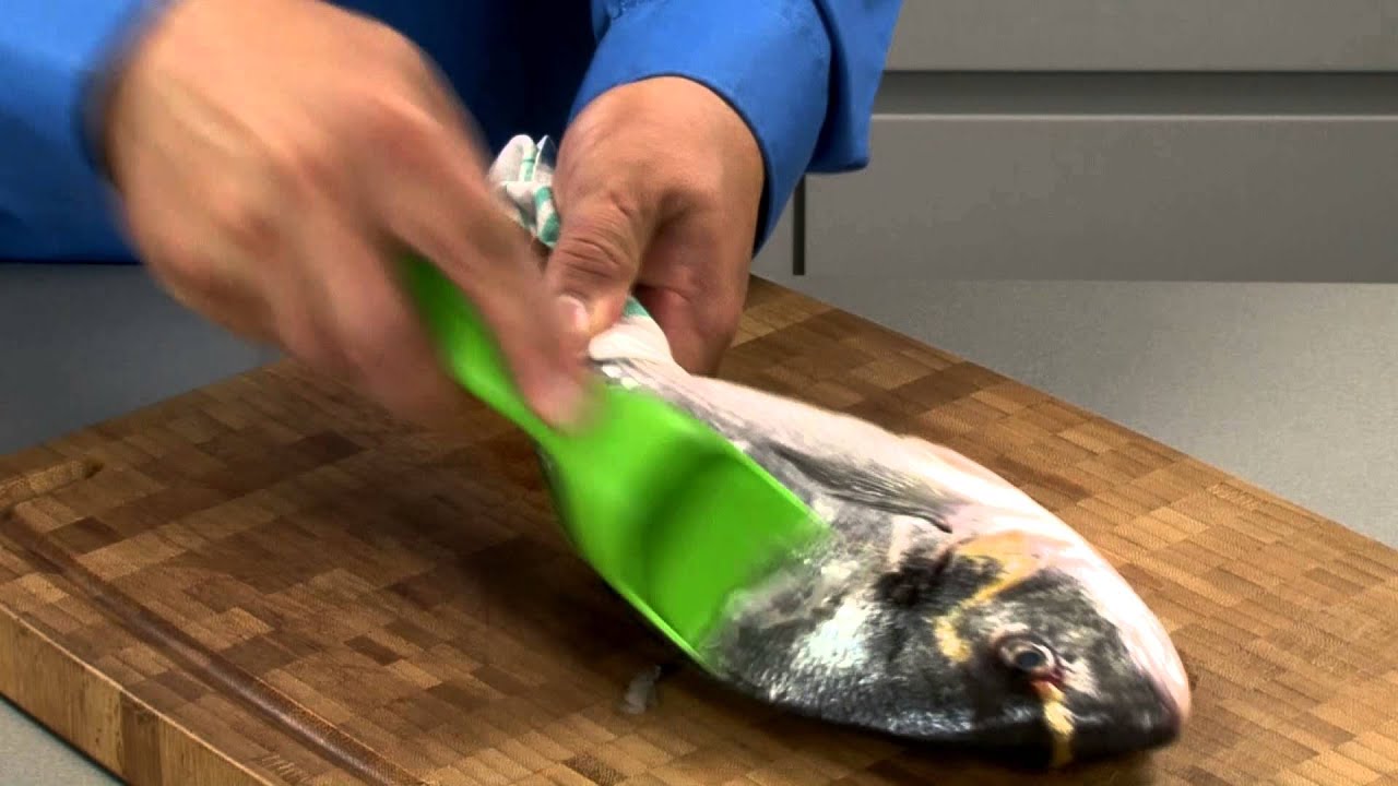 Squama pesce con raccoglitore Tescoma (420121) 