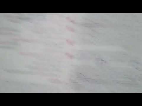 النموذج الثانى من ملحق كتاب الإبداع للصف الثانى الثانوى الترم الأول 2025