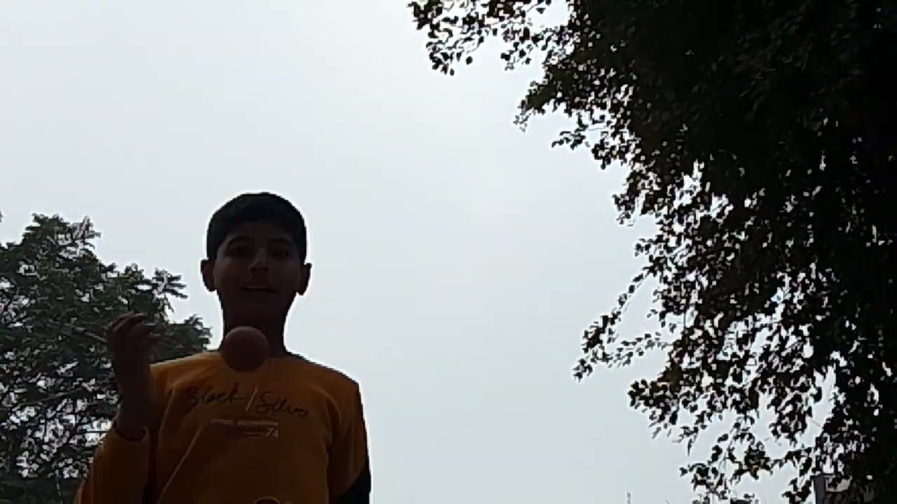 Cricket in park part 3