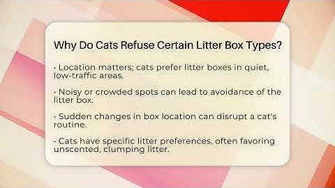 Why Do Cats Refuse Certain Litter Box Types? - Happy Cat Handbook