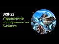 BRIF&#39;22 Управление непрерывностью бизнеса. Модератор и спикер: Сергей Кудряшов