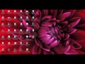Solución mi pc esta sin audio ,no se escucha nada.