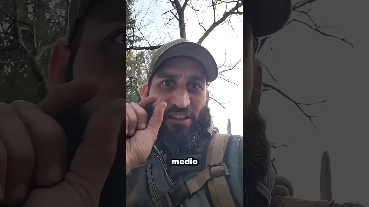 Empujar este árbol fue un error ENORME #shorts #fail #dangerous