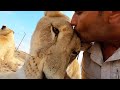 Bloopers & Outtakes 2019 | The Lion Whisperer