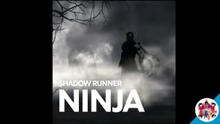 Shadow Runner Ninja screenshot 3