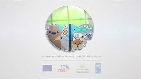 Improving the management of the protected areas Wildlife monitoring