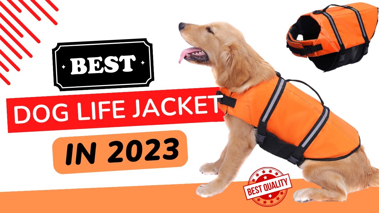 Best Dog Life Jackets Review in 2023 Updated 5 Products YouTube