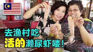 35中国人大马生活每次带中国朋友去吃的濑尿虾【马来西亚槟城】