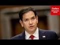 WATCH LIVE: Lawmakers Grill Secretary Of State Marco Rubio In The House